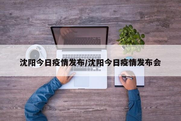沈阳今日疫情发布/沈阳今日疫情发布会