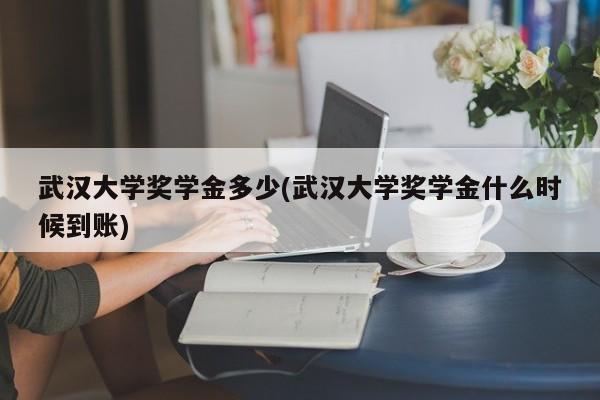 武汉大学奖学金多少(武汉大学奖学金什么时候到账)