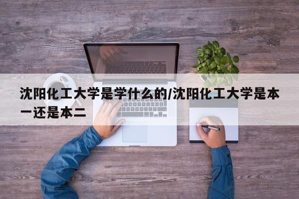 沈阳化工大学是学什么的/沈阳化工大学是本一还是本二